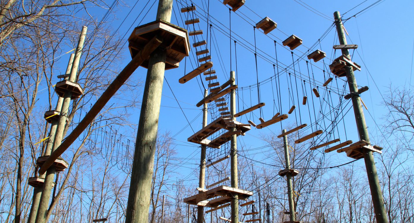 High Rope Course Setup in India